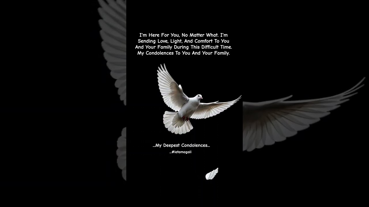 #DreamScreenAI #sympathy #condolences #deepest #message #loss #love #quotes