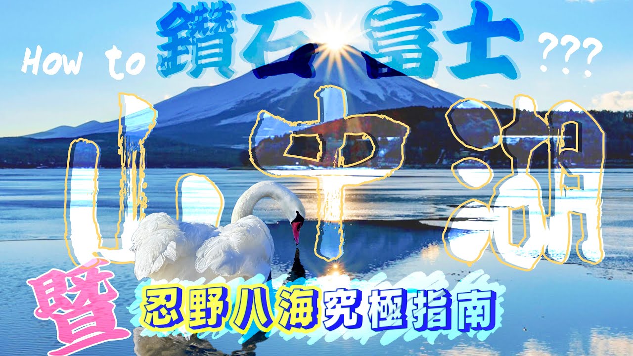 山中湖是個天鵝湖？忍野八海究極指南 它是富士第六湖？feat. 笠雲富士 鑽石富士(?)｜ 富士山下 富士五湖全攻略 Day 3
