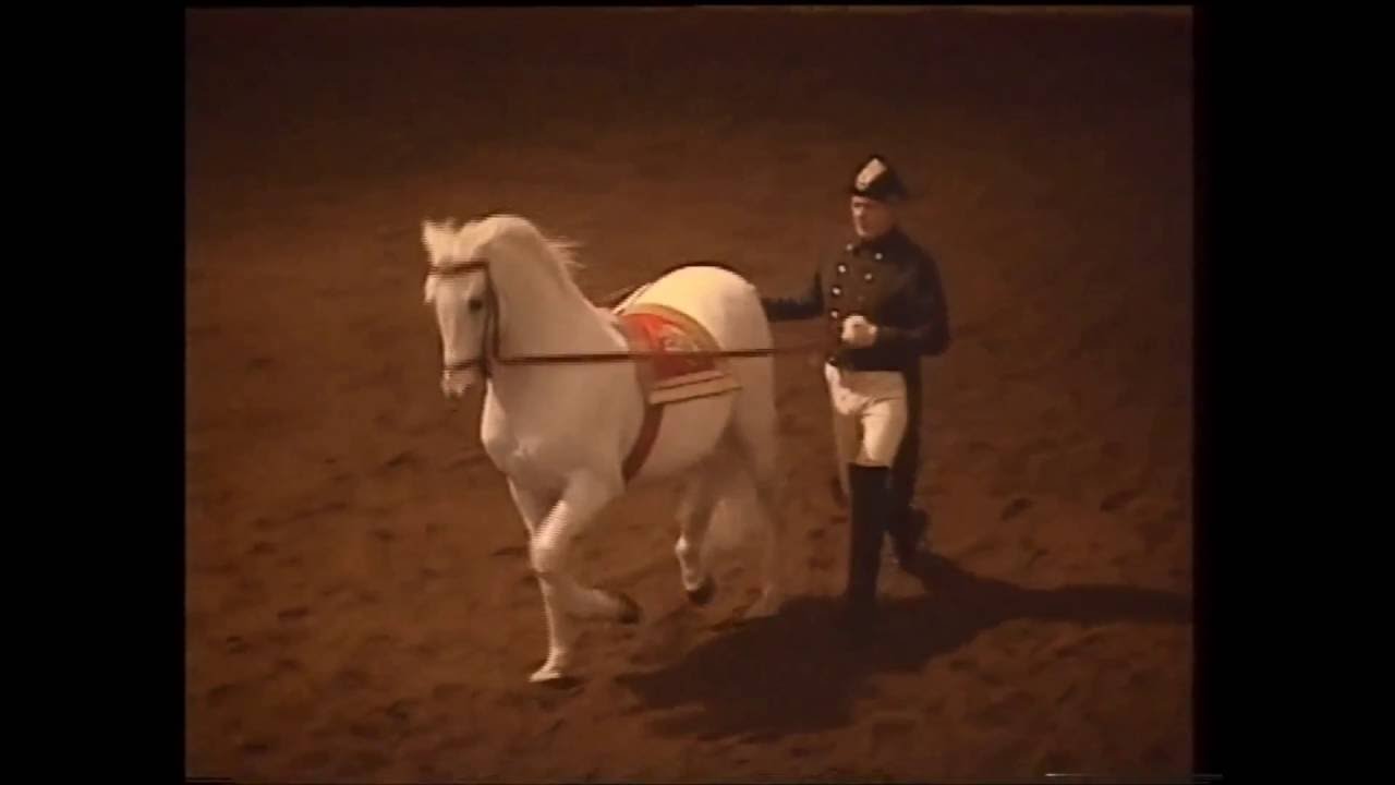 Spanische Reitschule Wien 1994 (4/6) - Am langen Zügel