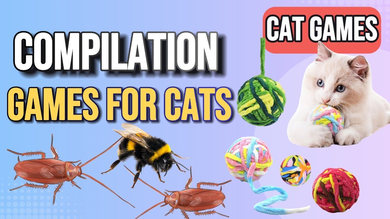 3D Chase Games for Cats 🐭🐜  | Ultimate Cat TV Compilation | No Ads 4K