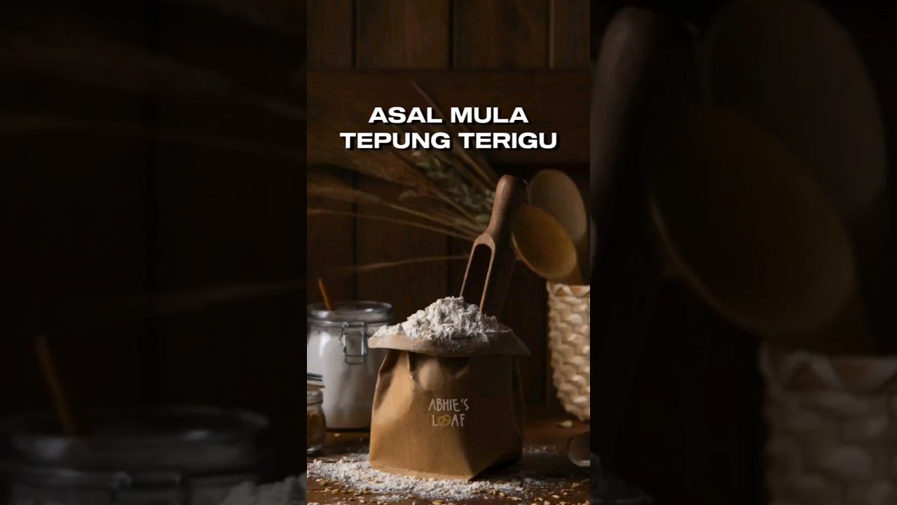 Tepung Terigu terbuat dari apa ya?? #bakingvlog #shorts #tepungterigu #food #sourdoughbread