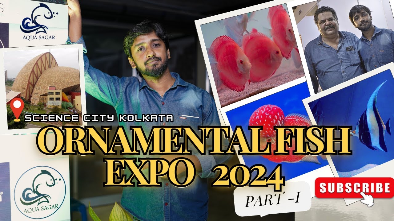Ornamental Fish Expo 2K24 | Part -1 | Preparation, Tour, and Highlights!