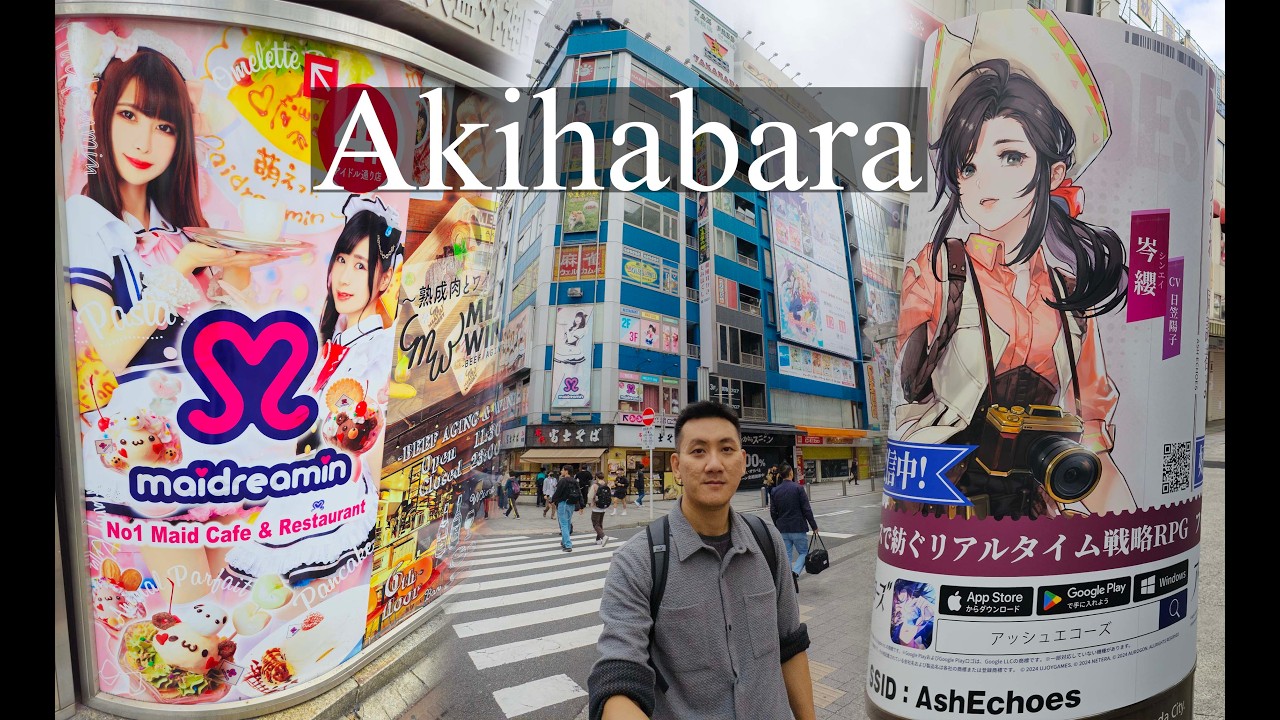 Japan Trip #5, Akihabara | Kanda Myojin Shrine | Odaiba Statue of Liberty | Unicorn Gundam Odaiba