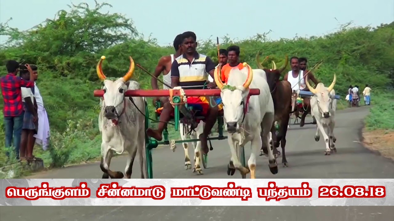 rekla race 2018 / பெரியகுளம்  மாட்டுவண்டி பந்தயம் / periyakulam rekla race 2018