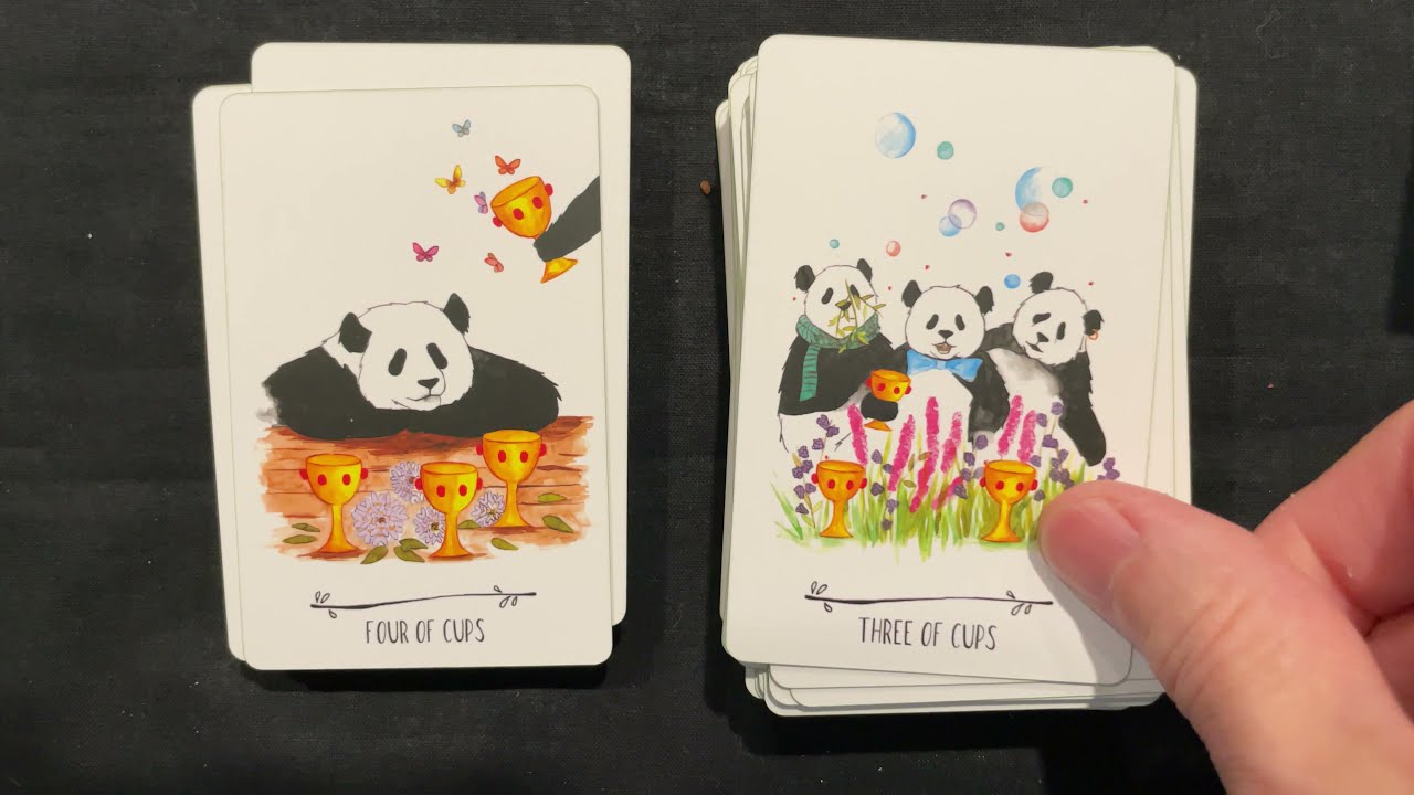 Way of the Panda Tarot - 4k Flip Through