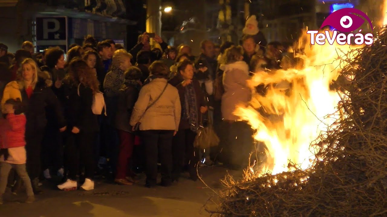 Cientos de daimieleños se echan a las calles para celebrar San Antón