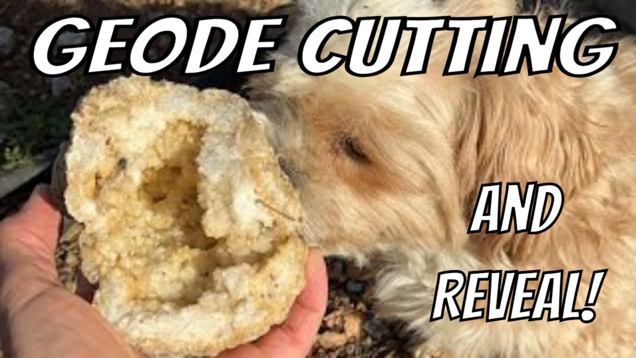 Geode Cutting LIVE with The Crystal Collector 💎