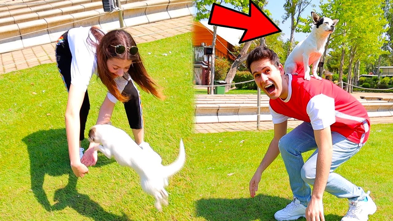 ADDESTRATORI DI CUCCIOLI PER UN GIORNO!