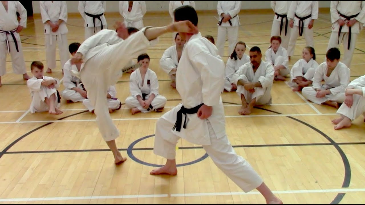 Ireland, mawashi geri and relaxed heaviness - Rick Hotton sensei
