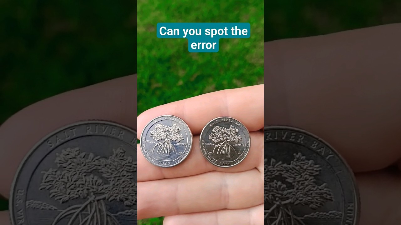 2020 quarter Can you spot the error