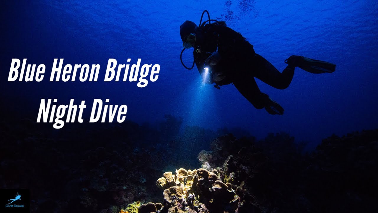Blue Heron Bridge - Night Dive | West Palm Beach, FL