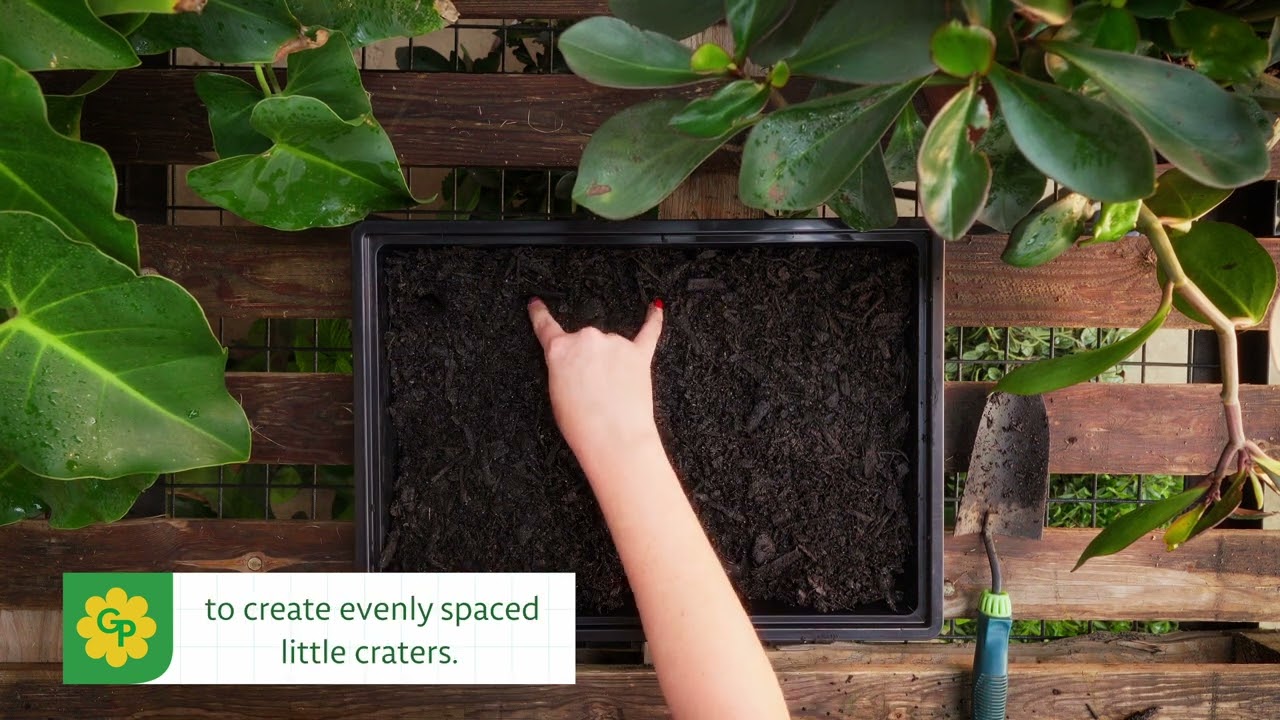 GroPak - How To Sow Seeds Indoors