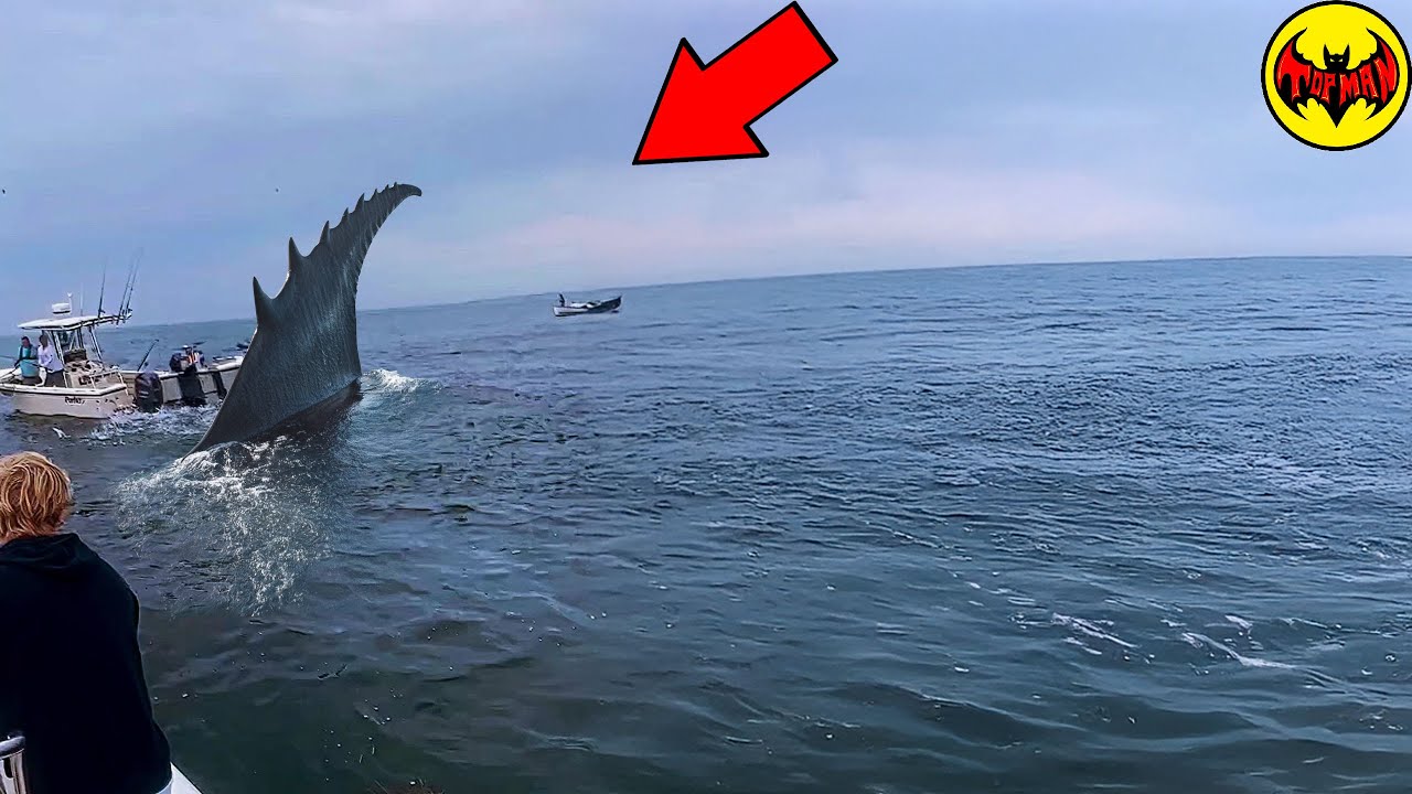 A Creature Scarier Than the Megalodon Has Just Been Caught on Film in the Ocean.