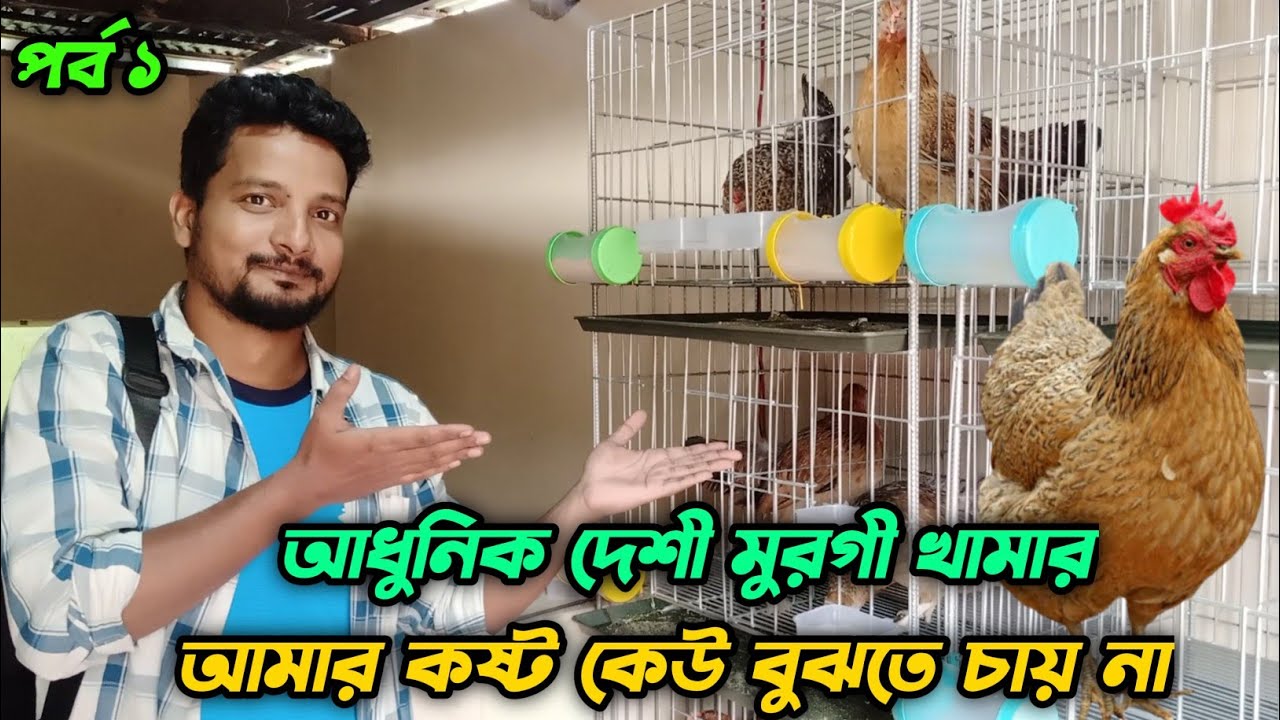 সিড়ির ঘরে আধুনিক দেশী মুরগী খামার আমার কষ্ট কেউ বুঝতে চায় না 