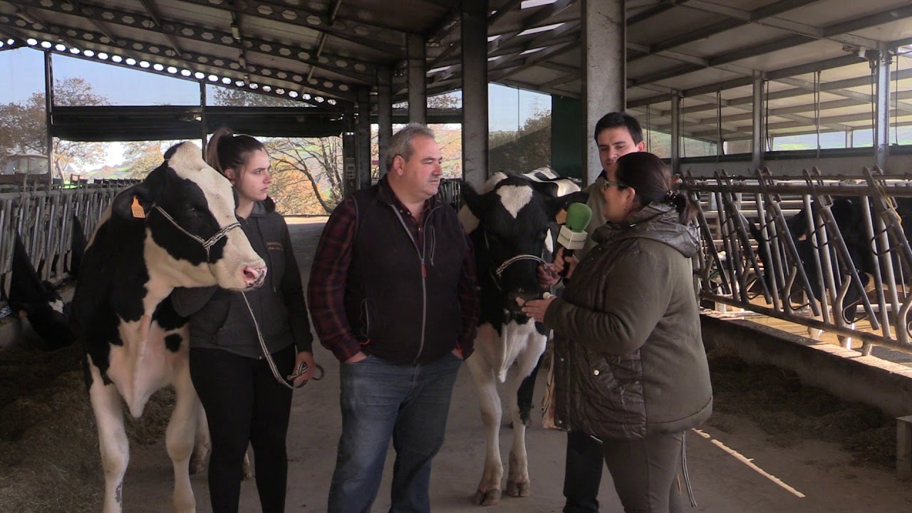 Ganadería Casa Venturo / El Campo de Asturias