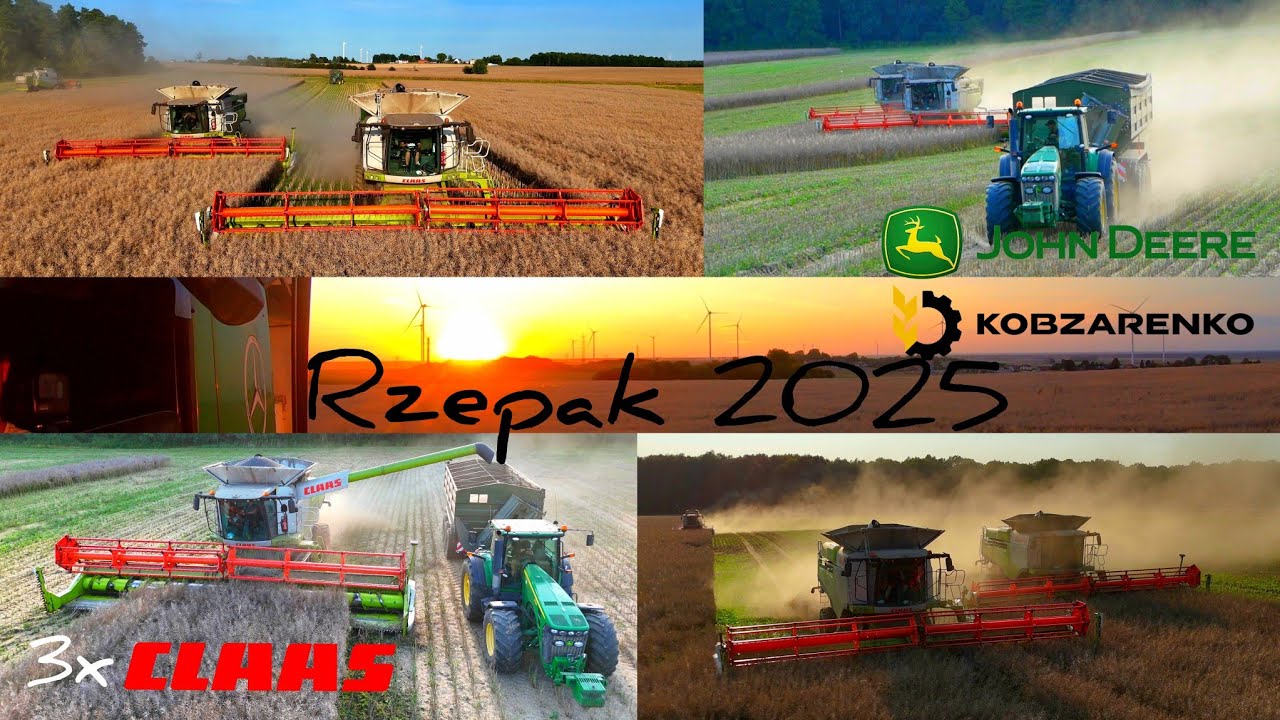 Wielkie żniwa rzepaku | Harvest in Poland #claas #lexion #johndeere #kobzarenko 