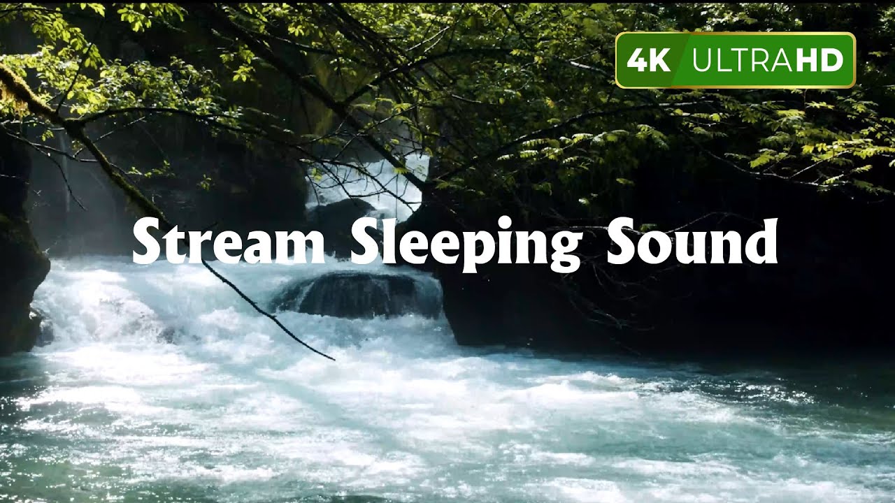 River Flow & Forest Birds Chirping | Gentle Stream Sleeping Sound for Sleep & Meditation | 3 Hours