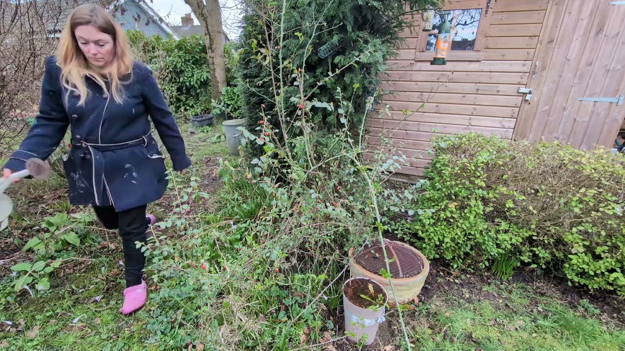 My Spring garden, planting bulbs and making plans for 2026