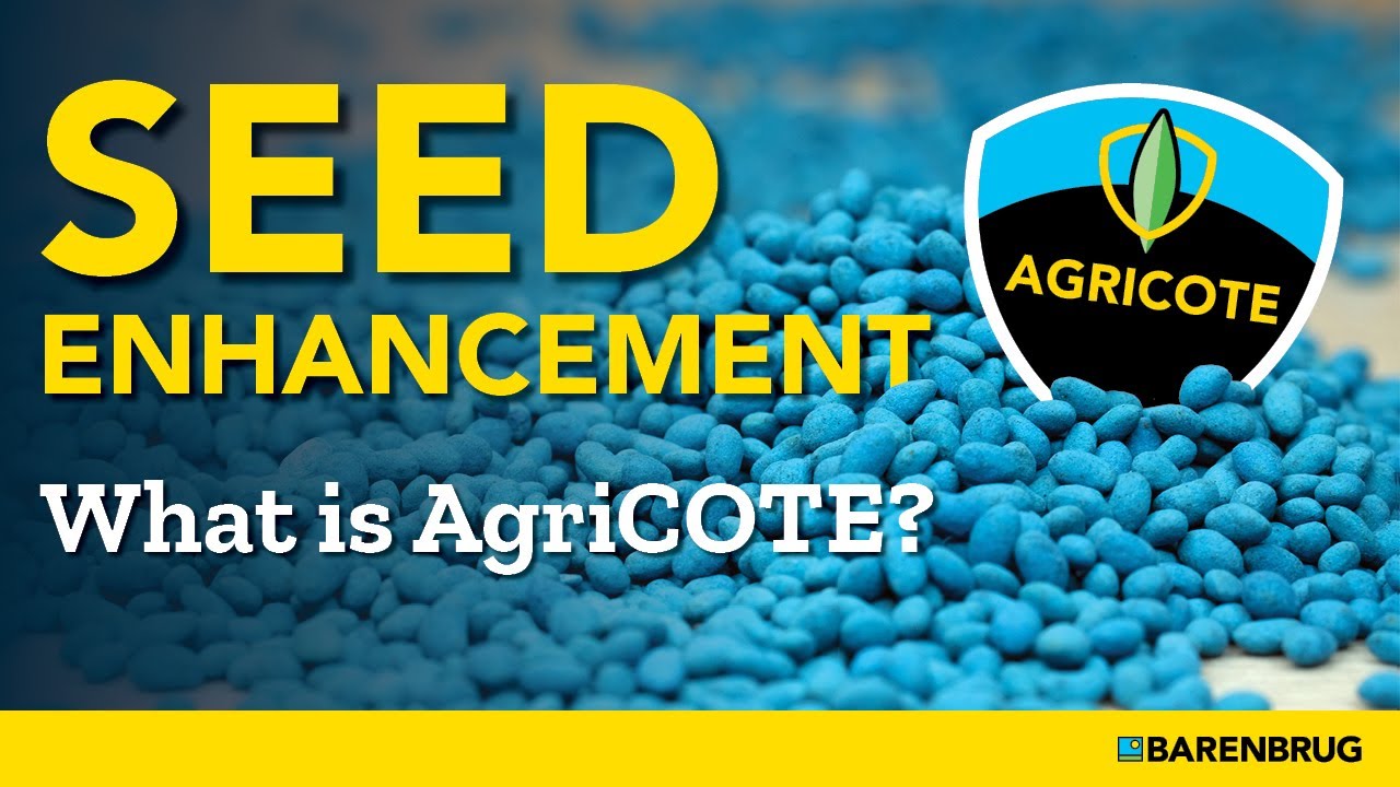 Seed Enhancement Technology - The Science Behind Your Success