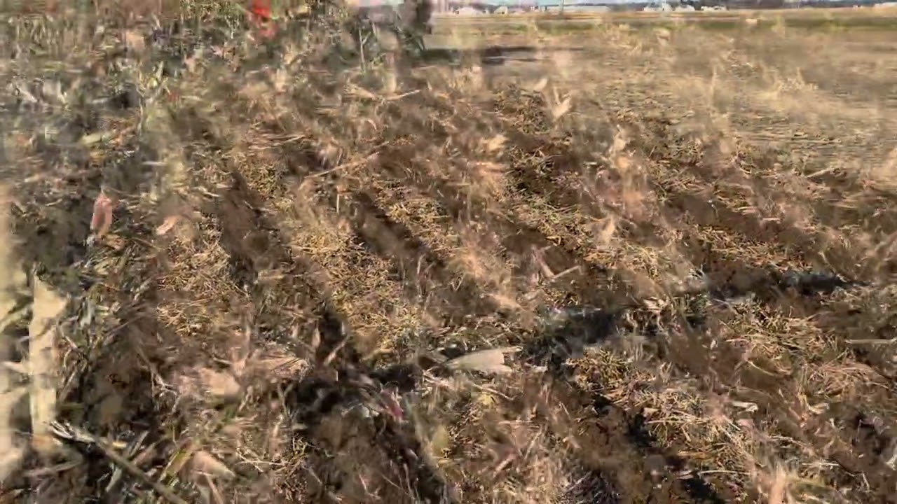 Strip Till Made Easy With The Dawn Pluri-Lite