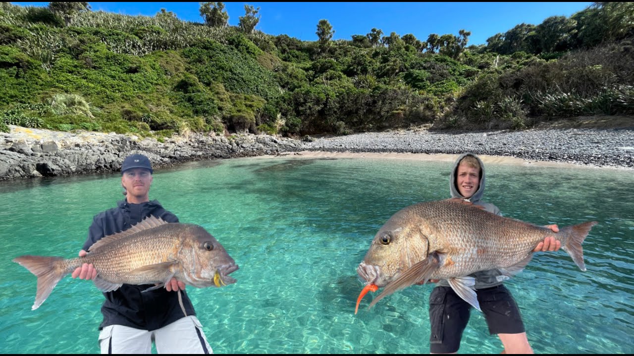 20LB Snapper - Soft baiting the wash ( FUNNY CATCH N COOK ) With MUZZA!