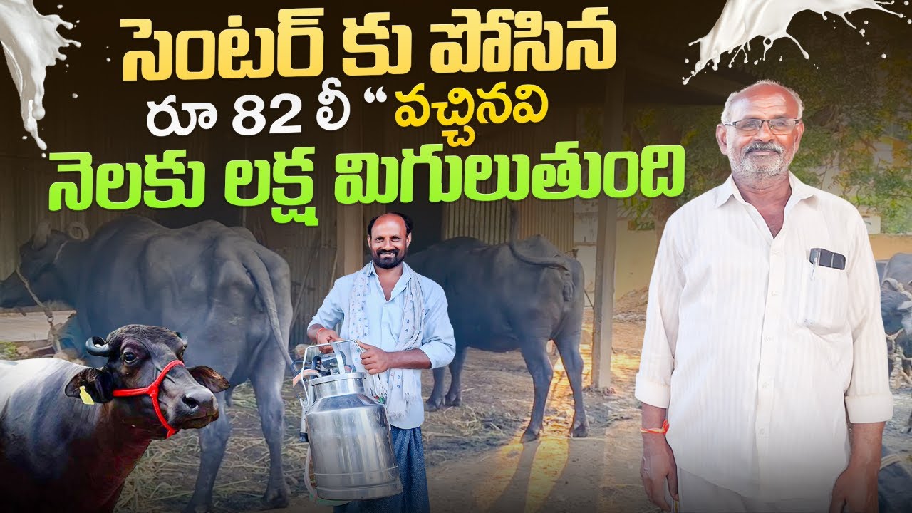 సెంటర్ పోసిన లీ