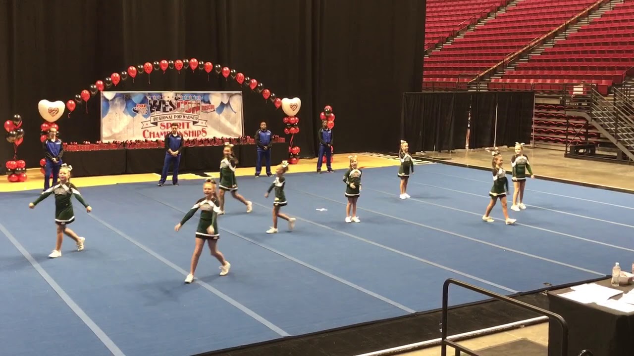 Cheer Competition Junior Pee Wee Team