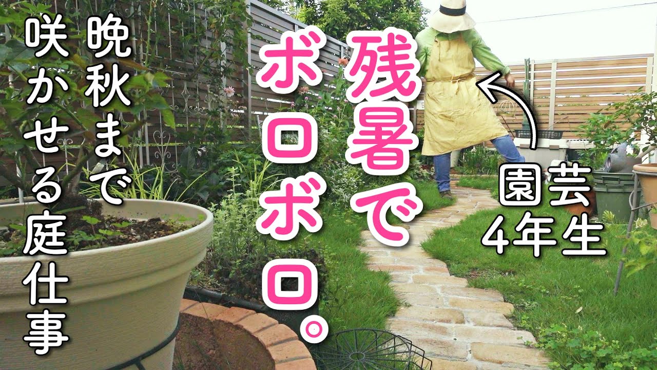 【一気にボロボロ】植物の生残りをかけ、放置庭リセット！｜9月の庭仕事｜小さな庭のガーデニング