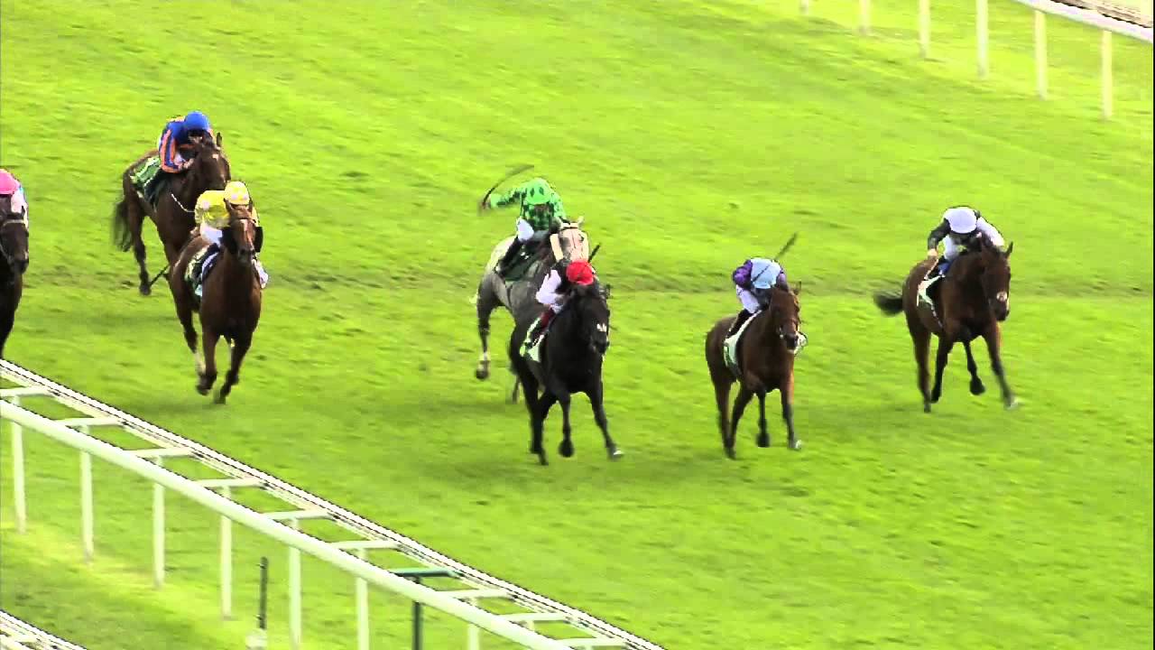 Ruby Walsh's Favourite Five - Flat Season Moments - Racing TV