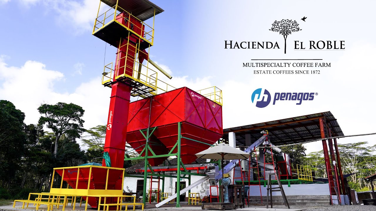 Así se procesa un café de calidad/How Quality Coffee Is Made: Hacienda El Roble Mesa de los Santos ☕