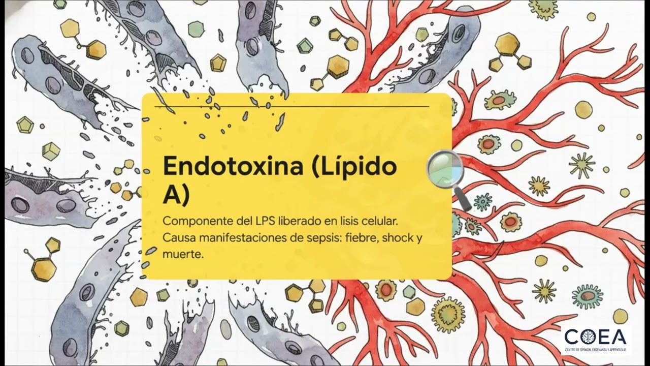 Enterobacter - Microbiología