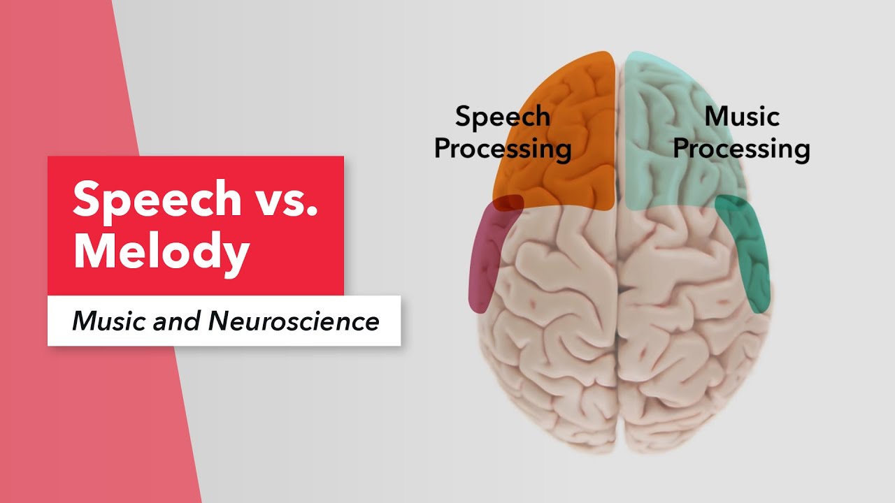 Music & Neuroscience: Speech vs. Melody (Lesson 1) | Susan Rogers | Berklee Online 3/26