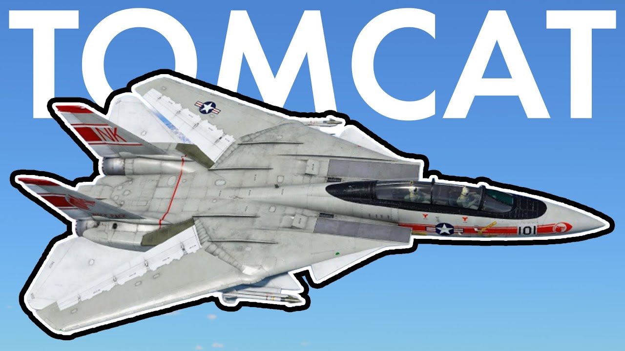Я играл на реактивном самолёте из фильма «Топ Ган» (это ужасно) — F14A Tomcat в War Thunder.
