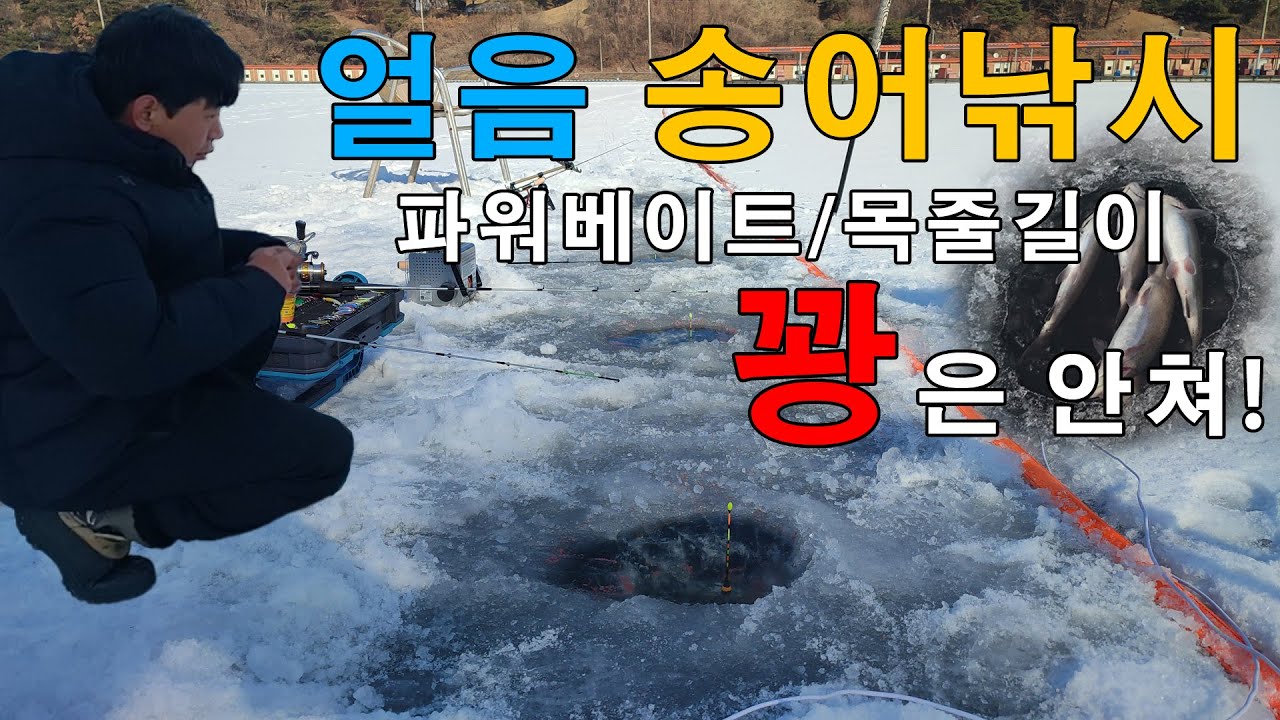 📢방류량 증가! 얼음 송어 낚시🎣 바늘채비도 바꿨다! 송어 미끼는 딱! 두가지만