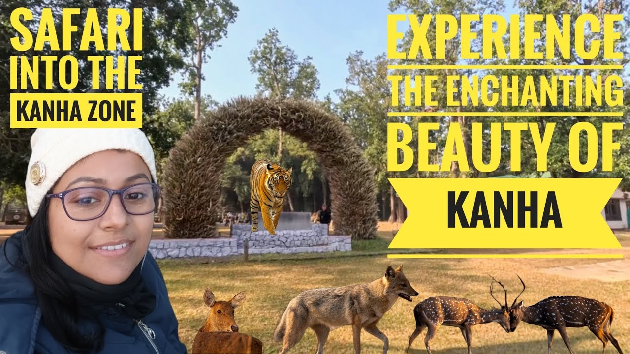 KANHA ZONE SAFARI - KANHA NATIONAL PARK WILDLIFE SAFARI #wildlife #tiger #animals #nature #nikon