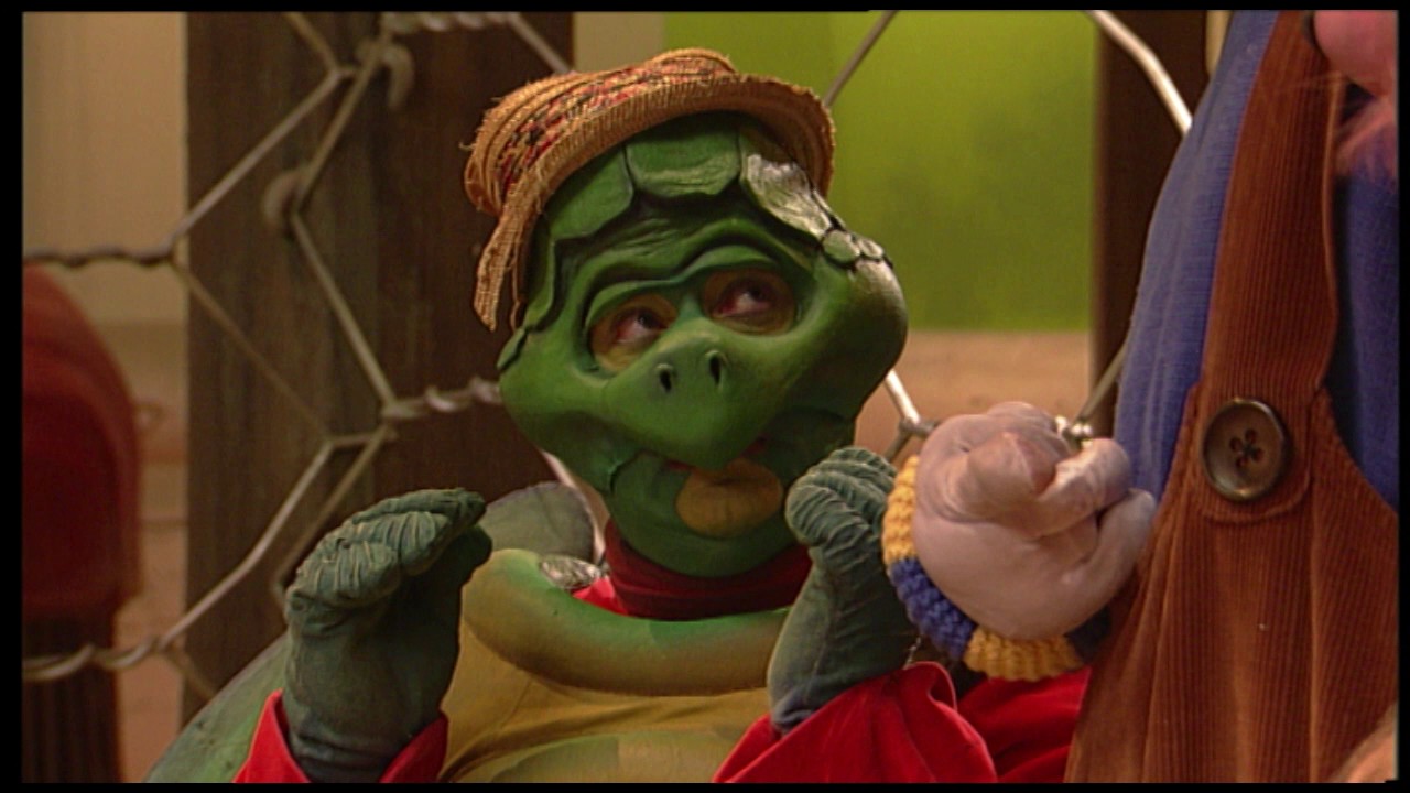 Wizzy & Woppy - Kasha haan