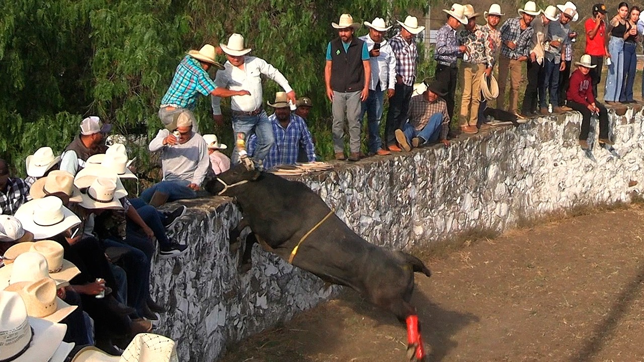 FINAL INESPERADO!! TOROS BRAVOS BUSCA CABALLOS EN PANINDICUARO MICHOACAN 07 MARZO 2026