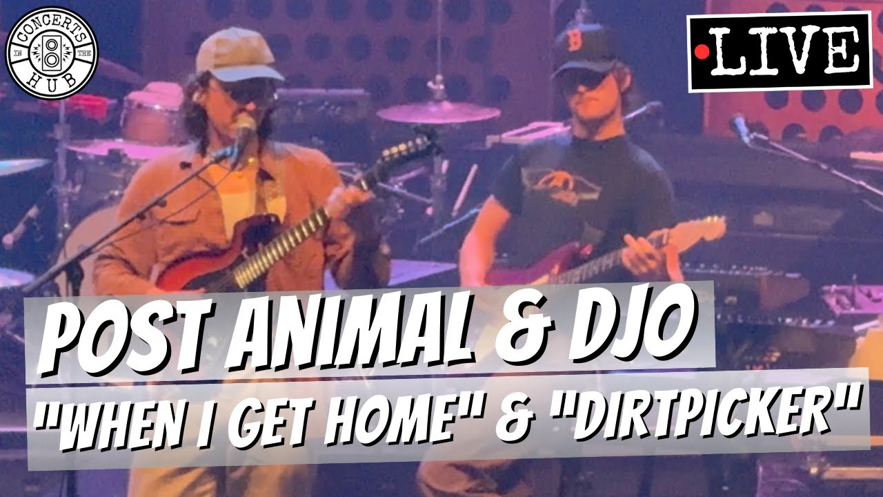 Post Animal & Djo 