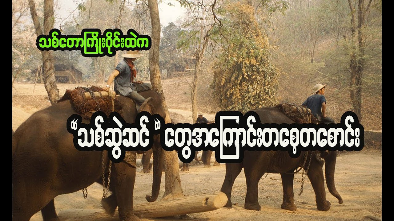 ဗန်းမောက်နယ် သစ်တောကြိုးဝိုင်းထဲက 
