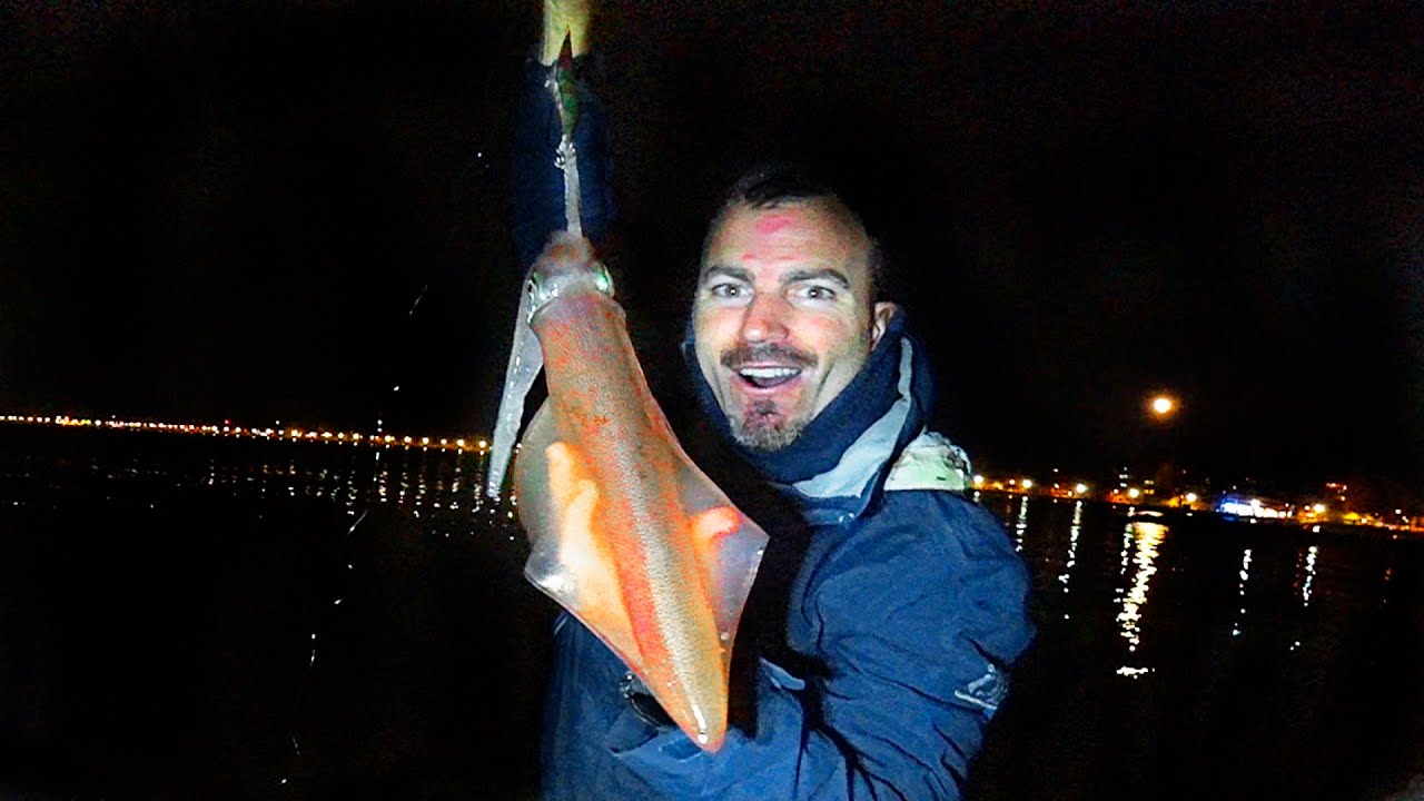 ¡PESCA a CALAMAR y BARRACUDAS! [Tambien Lubina, Raspallon y Hasta 1 delfin...]