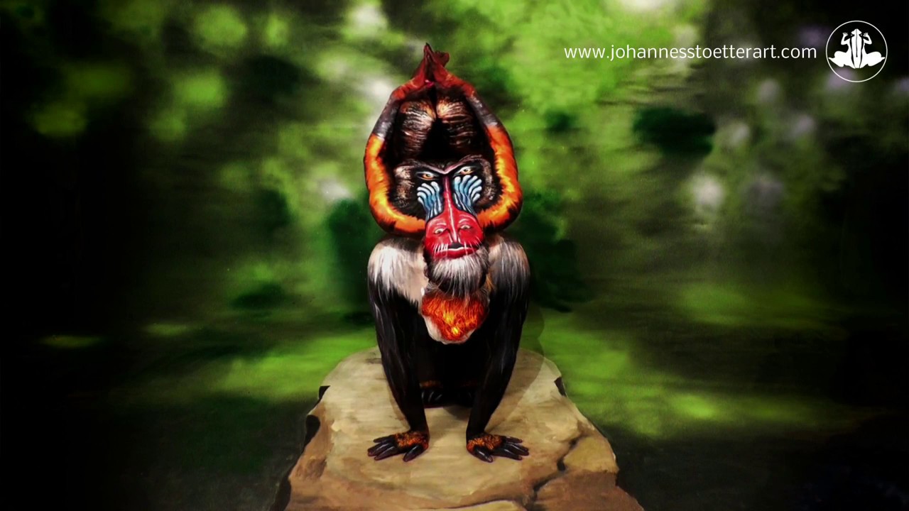 Mandrill - Fine Art Bodypainting by Johannes Stötter