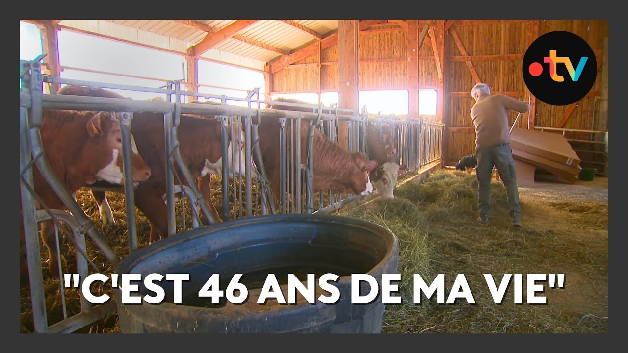 Après des années de recherches, une ferme du Vercors cesse son activité faute de repreneur