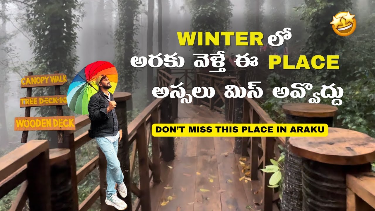 Wooden Bridge in Araku | Araku Coffee Plantation | Vizag Insight