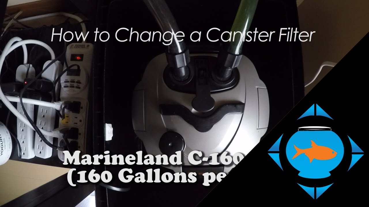 How to change a canister filter media (cleaning) - Marineland C-160 aquarium maintenance