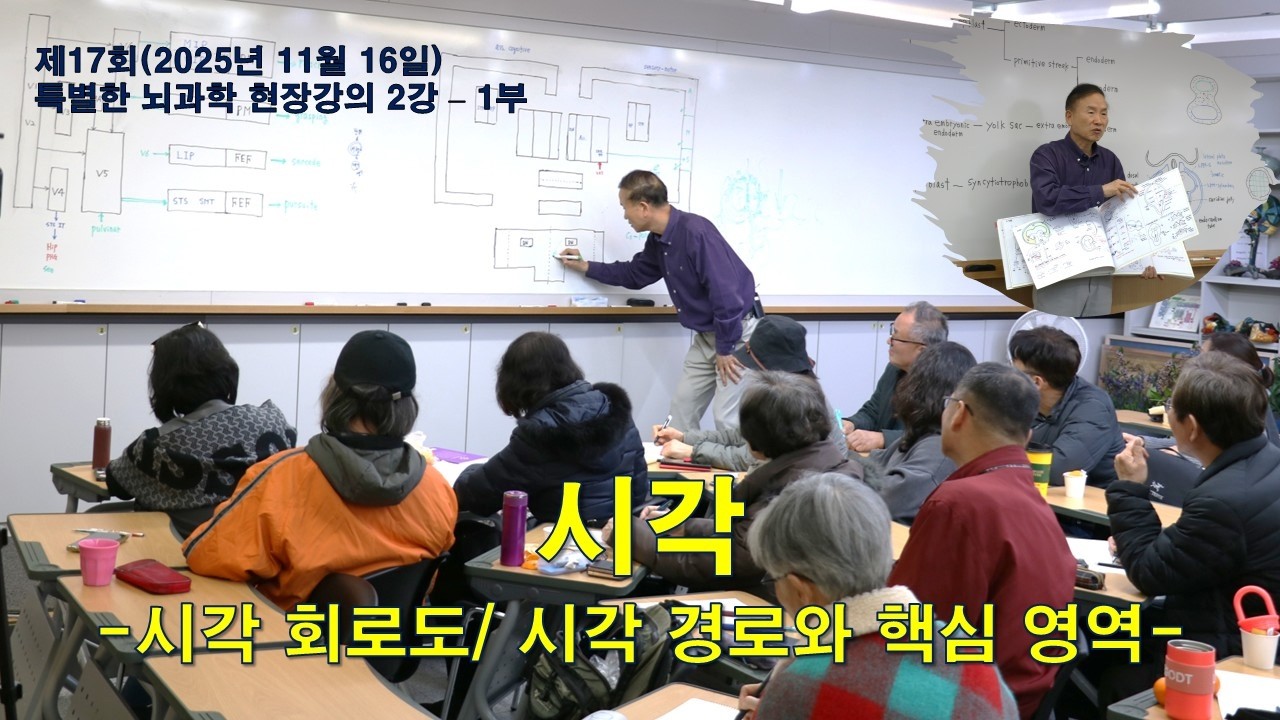 17회(2025.11.16)특별한 뇌과학 2강 1부- 시각-시각 회로도/ 시각 경로와 핵심 영역
