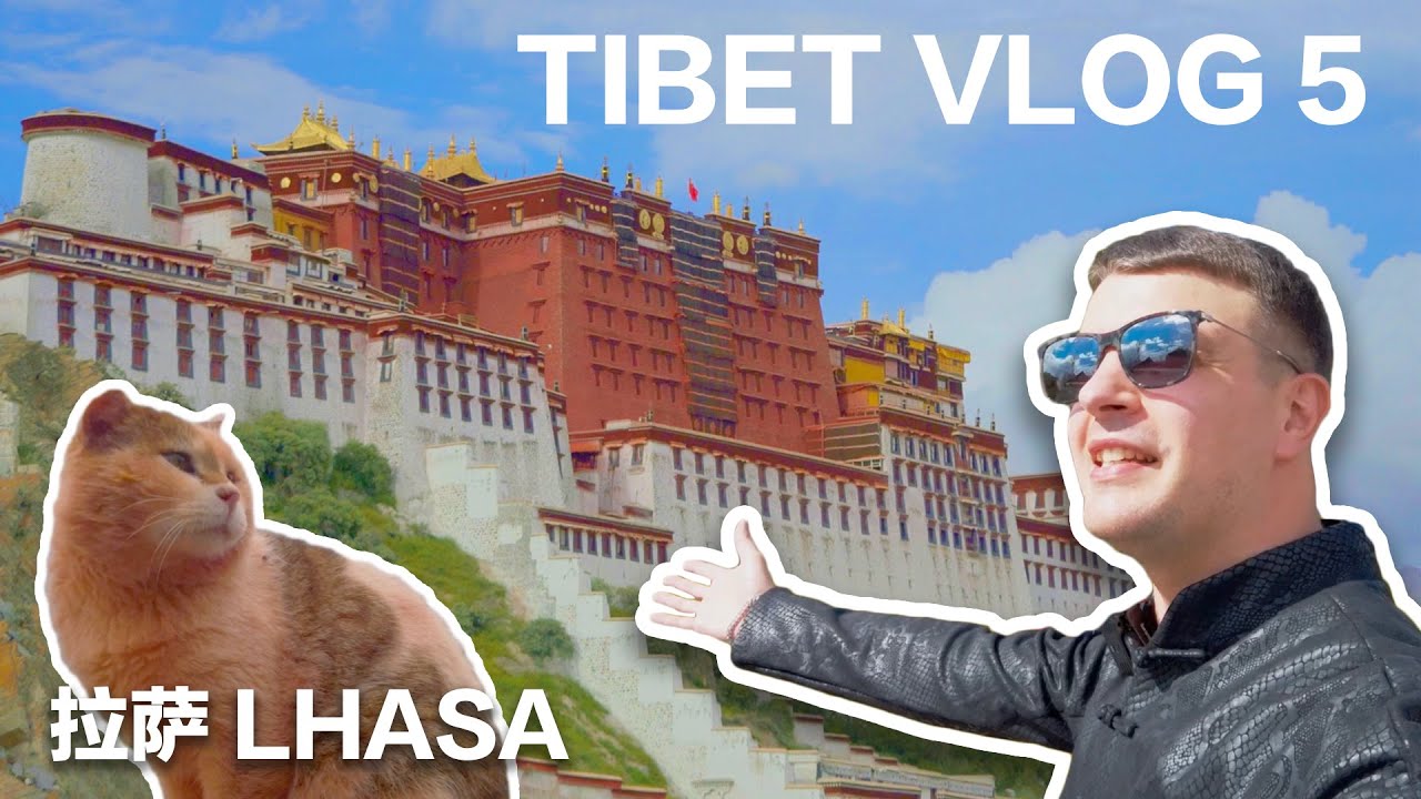TIBET VLOG5 Pink Cats in the Potala Palace LHASA（寺庙游）此生必来！我逛完布达拉宫说不出话