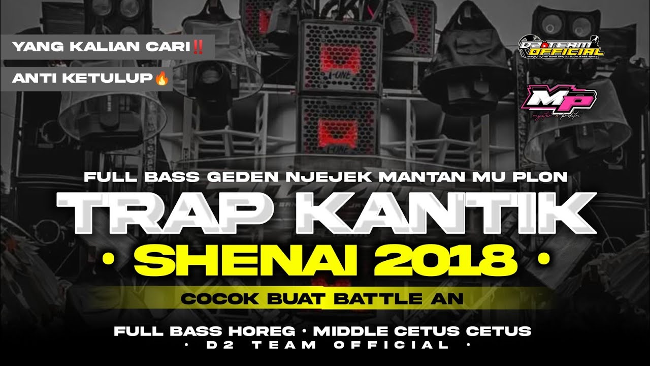 DJ KANTIK SHENAI VIBES SUMBERSEWU | D2 TEAM OFFICIAL