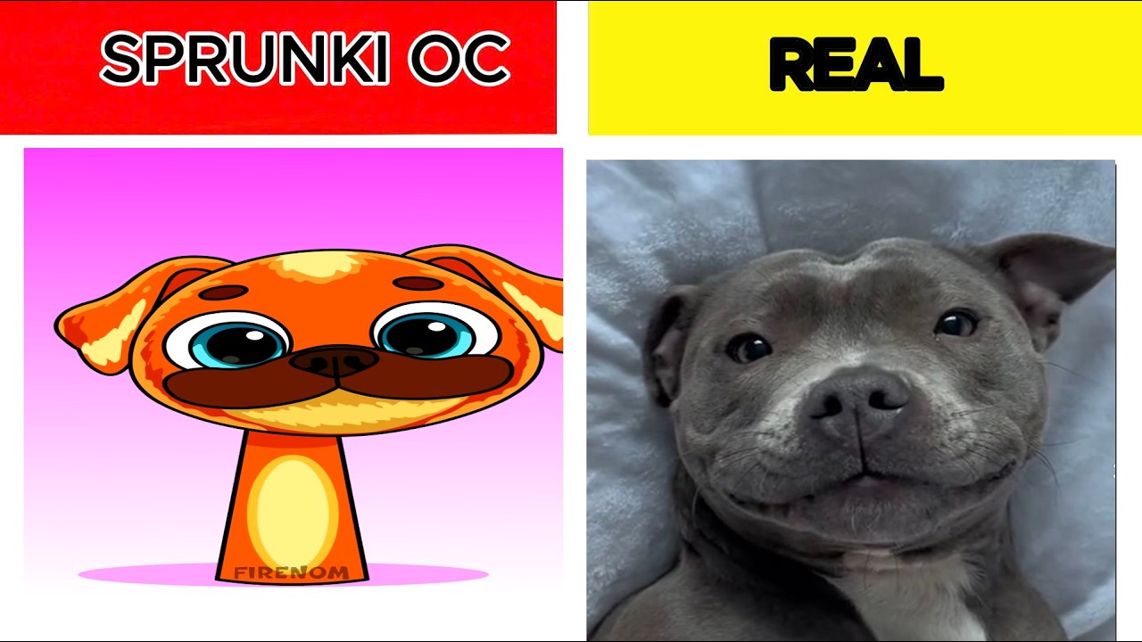 MY Sprunki OC :  Chompy Chasey from Dark Pals  in REAL LIFE  #sprunki #sprunkioc