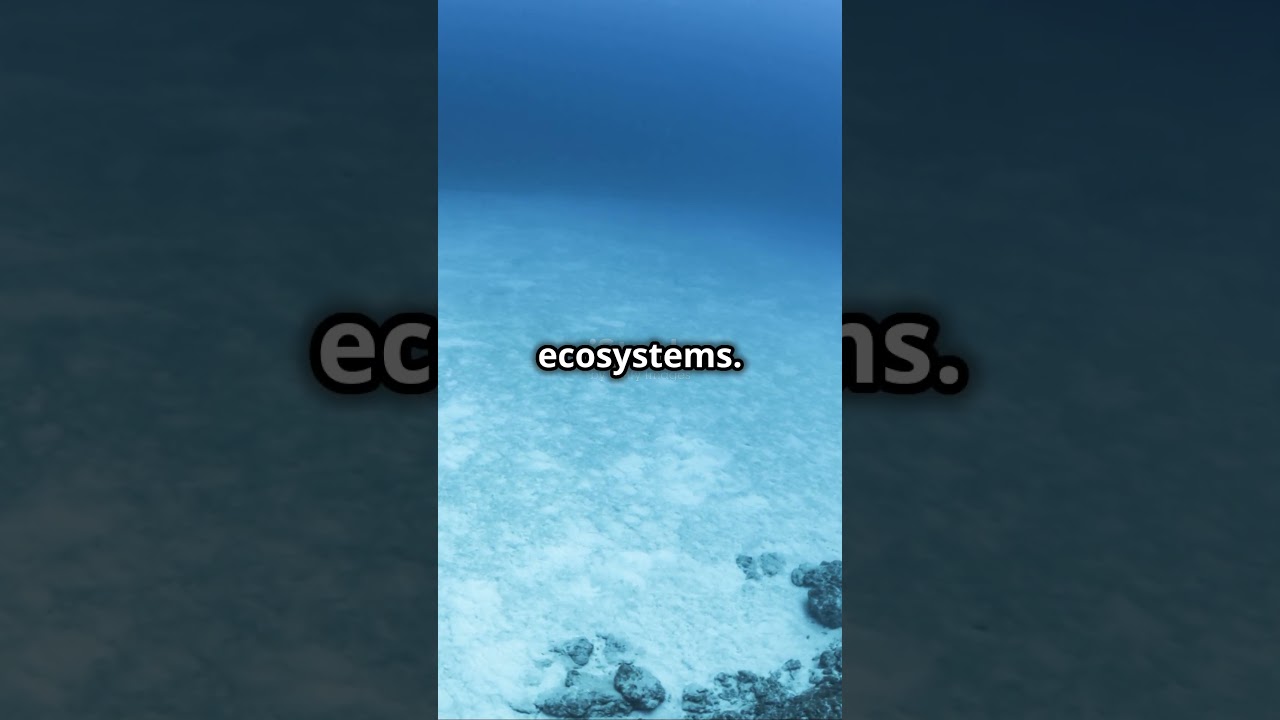 Marine animals are organisms that live in saltwater environments, such as oceans, seas, part 5
