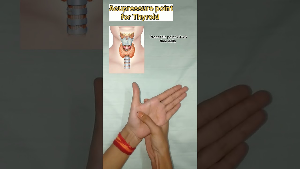 Acupressure point for thyroid #yoga #yogaforbeginners #youtubeshorts #youtube #thyroid #mudra